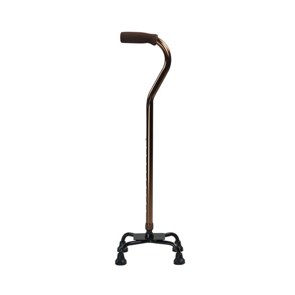 Amesco Drug Medical Supplies Store in Davao Online Shop